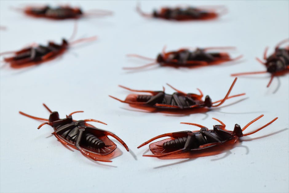 Agentic AI kicks off the bug prevention era – SiliconANGLE