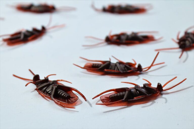 Agentic AI kicks off the bug prevention era – SiliconANGLE